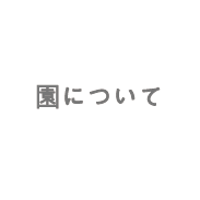 園について